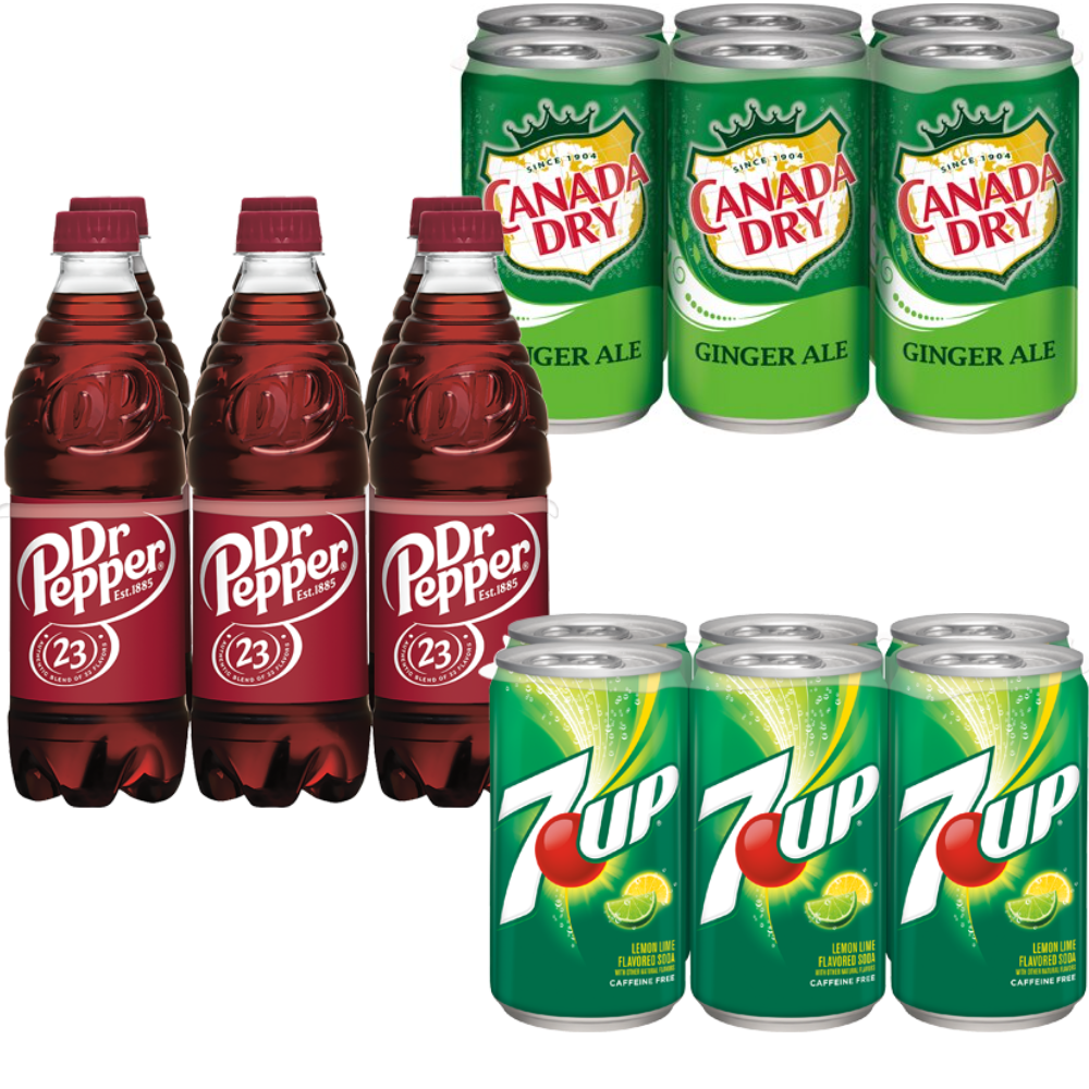 Canada Dry Bottle or Mini Can